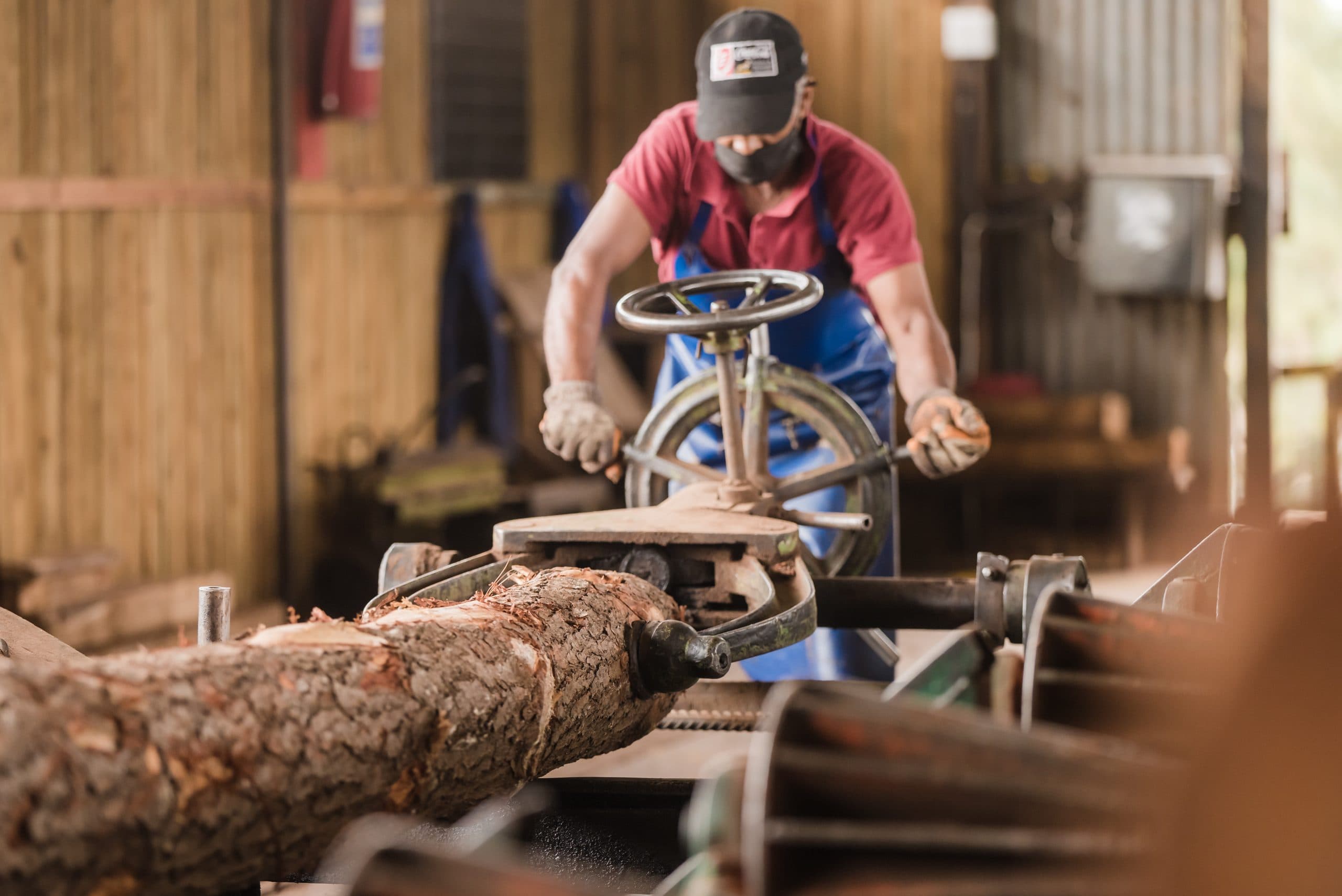 Timber treatment in action