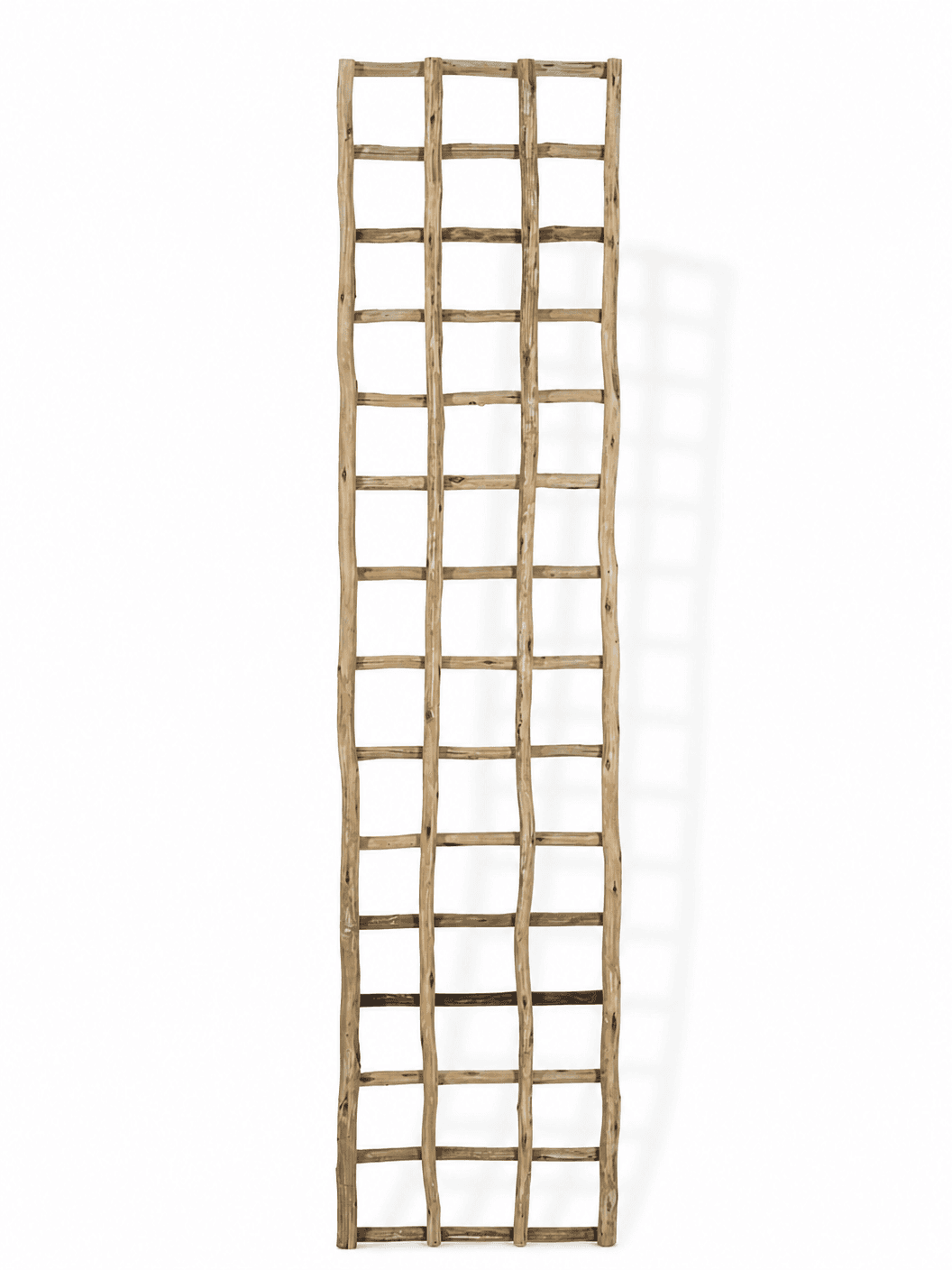 Latte Square Trellis