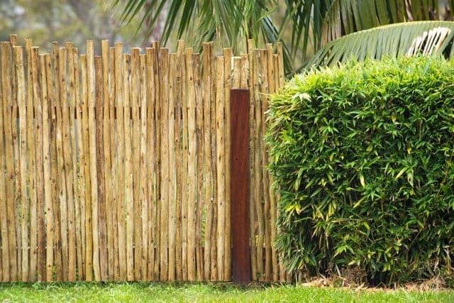 Latte Fence Panels