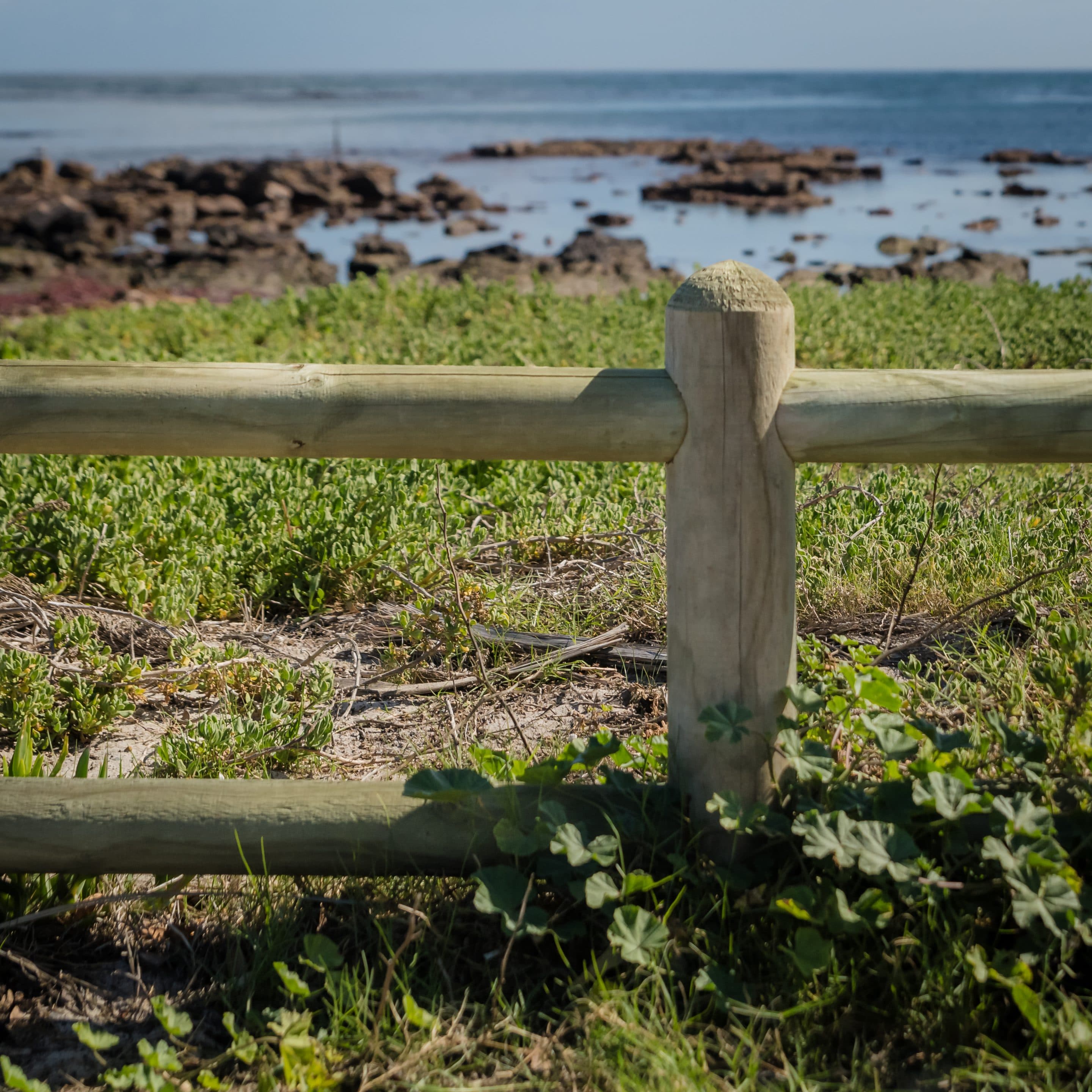 Ranch Style Post & Rail Poles